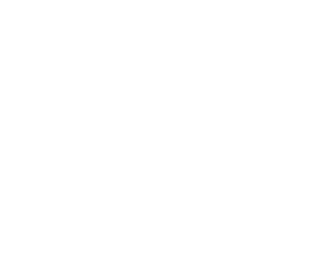 Four season