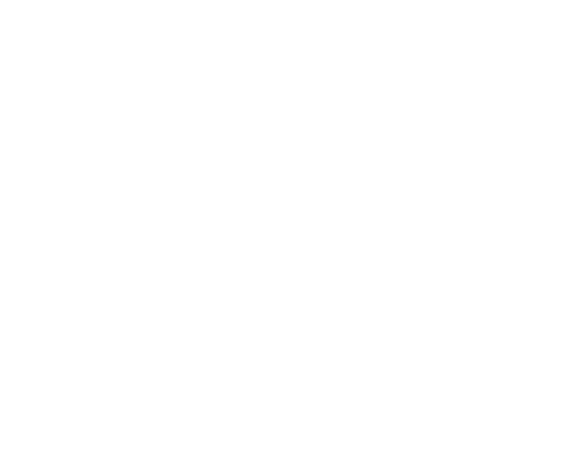 KLM